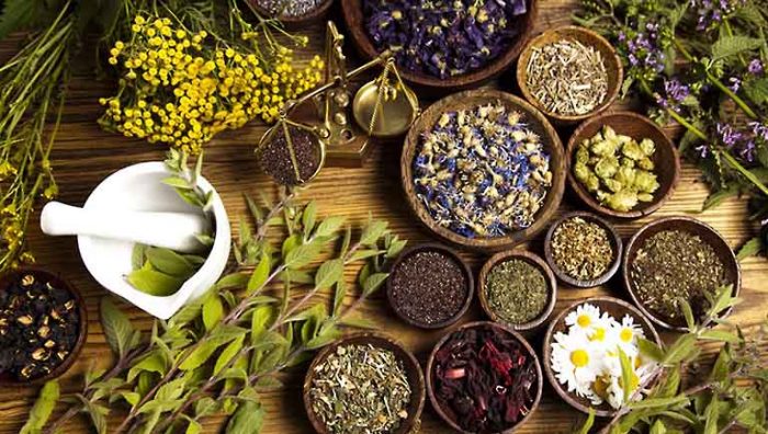 Phương pháp điều trị của Y học cổ truyền