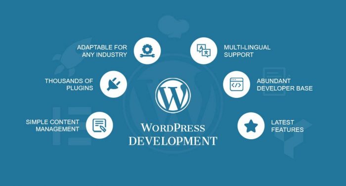 Wordpress hỗ trợ nhiều plugin thiết kế website, chuẩn SEO